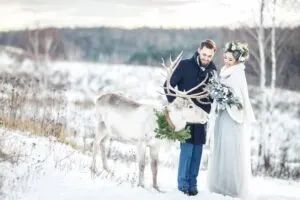 The bride and groom walk with the deer.-cm